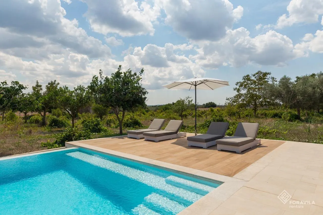 Can Tano Inca  Holiday home Inca (Mallorca)