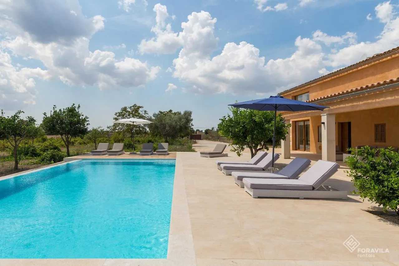 Holiday home Can Tano Inca